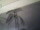 Webcam in Burgstetten, 0 km entfernt
