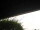Webcam in Burgstetten, 10.3 mi away