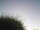 Webcam in Burgstetten, 15.5 mi away