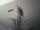 Webcam in Burgstetten, 4.7 mi away