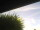 Webcam in Burgstetten, 10.7 mi away