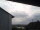 Webcam in Burgstetten, 14.4 km