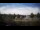 Webcam in Bonn, 12.4 km
