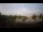Webcam in Bonn, 1.2 km entfernt
