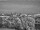 Webcam in Dresden, 2.9 km entfernt