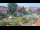 Webcam in Juist, 20.8 km