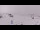Webcam in Les Angles, 4.7 km
