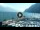 Webcam in Riva del Garda, 2.6 km entfernt