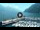 Webcam in Riva del Garda, 1.2 km