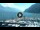 Webcam in Riva del Garda, 8.2 km