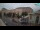 Webcam in Rijeka, 1.4 mi away