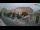 Webcam in Rijeka, 0.5 km