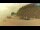 Webcam in Cherso, 25.7 km
