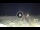Webcam in Rimini, 2.6 km entfernt