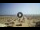 Webcam in Rimini, 0.9 mi away
