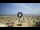 Webcam in Rimini, 0.9 mi away