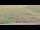 Webcam on the AIDAprima, 13.7 mi away