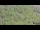 Webcam on the AIDAprima, 118.5 mi away