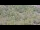 Webcam on the AIDAprima, 93.1 mi away