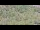 Webcam on the AIDAprima, 0.3 mi away
