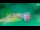 Webcam in Koprivnica, 40.7 mi away