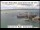 Webcam auf der Crown Princess, 1755.6 km entfernt