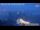 Webcam sul monte Zugspitze, 0.6 km