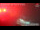 Webcam in Zugspitze, 0.1 km
