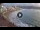 Webcam in Las Palmas de Gran Canaria, 0.4 km