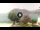 Webcam in Sulzano, 1.2 mi away
