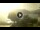 Webcam in Sulzano, 1.9 mi away