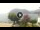Webcam in Sulzano, 1.9 mi away