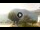 Webcam in Sulzano, 3.1 km entfernt