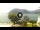 Webcam in Sulzano, 16.4 km entfernt