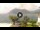 Webcam in Sulzano, 19.2 km