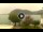 Webcam in Sulzano, 13.5 km