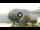 Webcam in Sulzano, 11.7 km entfernt