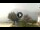 Webcam in Sulzano, 15.6 km