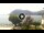 Webcam in Sulzano, 4.5 mi away