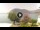 Webcam in Sulzano, 5.5 mi away