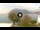 Webcam in Sulzano, 1.9 mi away