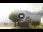 Webcam in Sulzano, 7.4 mi away
