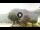 Webcam in Sulzano, 5.3 mi away