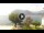 Webcam in Sulzano, 19.2 km entfernt