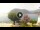 Webcam in Sulzano, 14.6 km