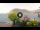 Webcam in Sulzano, 3.2 km