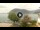Webcam in Sulzano, 7.8 mi away