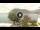 Webcam in Sulzano, 20.4 km