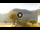 Webcam in Sulzano, 17.7 km