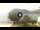 Webcam in Sulzano, 5 km
